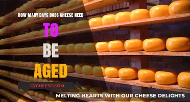 The Art of Aging Cheese: Perfect Timing for Optimal Flavor