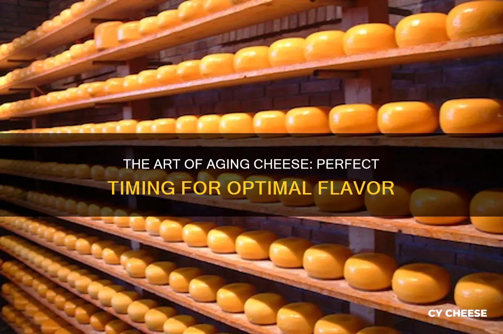 how many days does cheese need to be aged