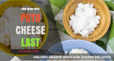 Puto Cheese: How Long Does it Last?