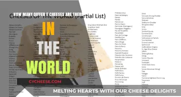 Exploring the Diverse World of Global Cheese Varieties