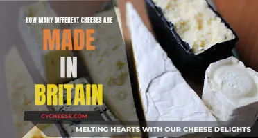 The Ultimate Guide to Britain's Cheese Varieties