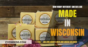 Cheese Heaven: Wisconsin's Diverse Dairy Delights