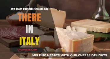 Exploring Italy's Cheese Diversity: A Guide to Varieties and Traditions