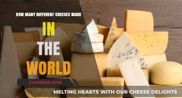 Exploring the Global Cheese Map: A Tasty Adventure