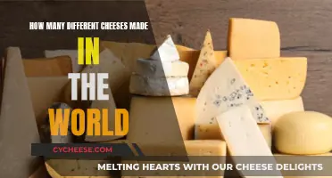 Cheese Exploration: A World of Different Cheeses