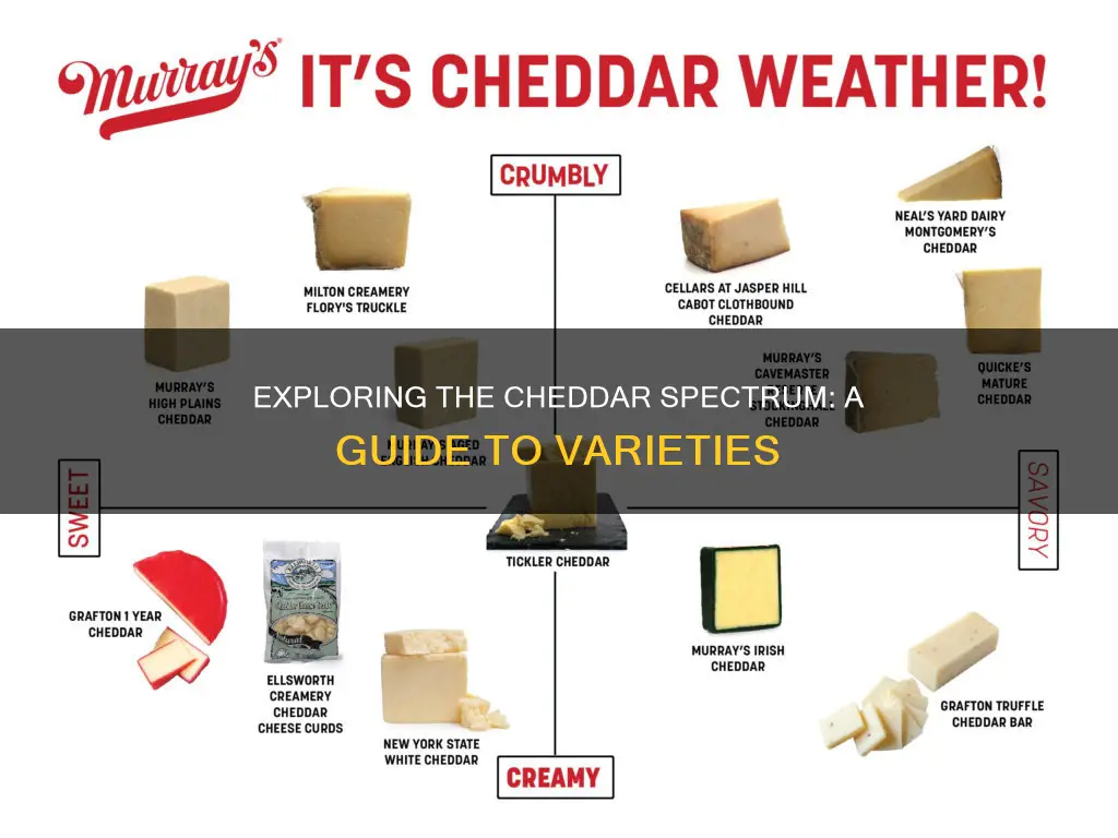 how many different types of cheddar cheese are there