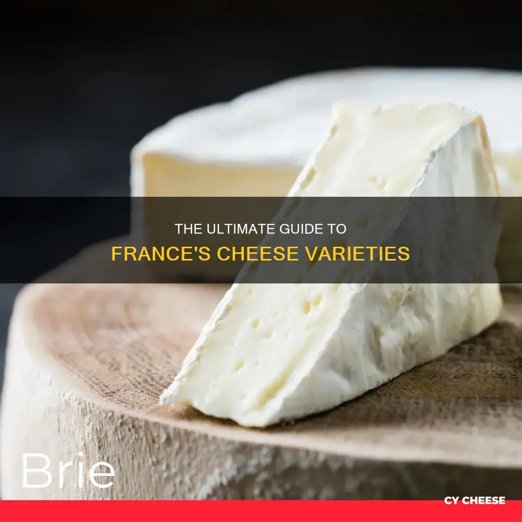 how many different types of cheese are made in france