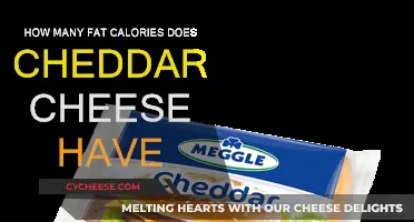 Fat Facts: Cheddar Cheese's Calories Explained