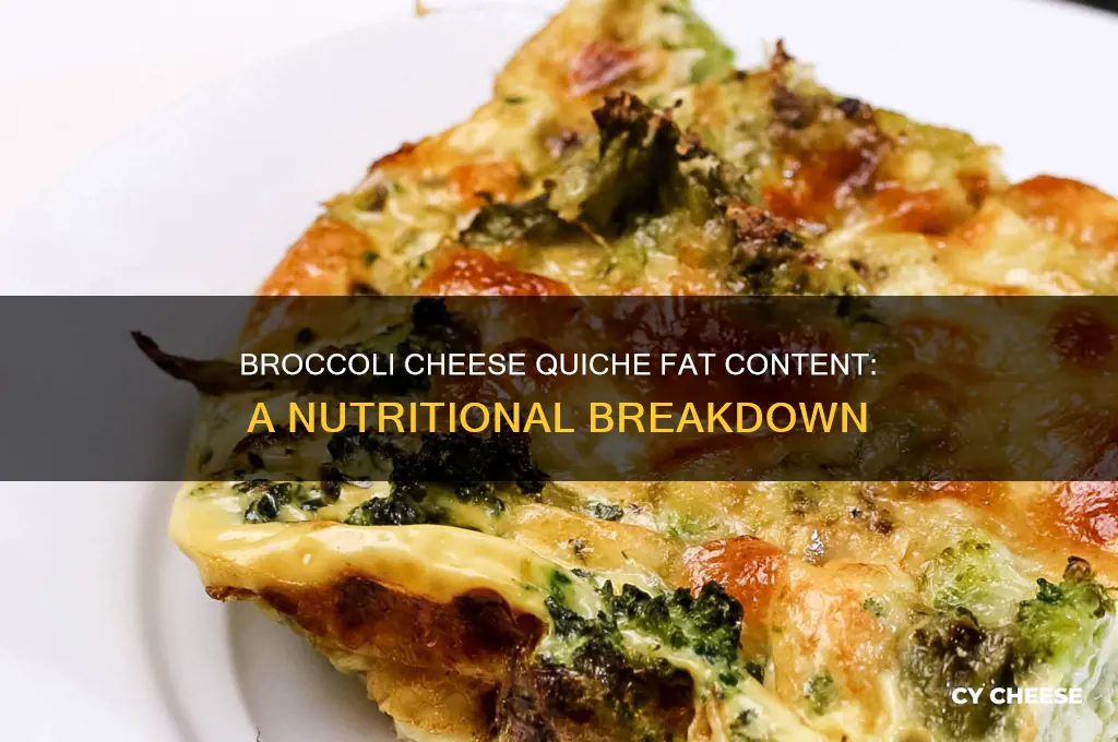 how many fat grams in a broccoli cheese quiche