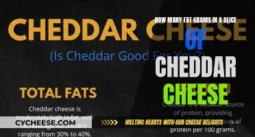 Cheddar Cheese: Unveiling the Fat Content in a Slice