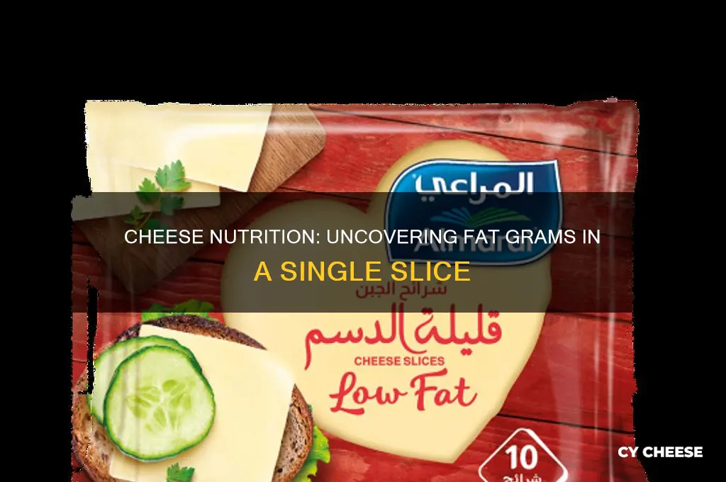 how many fat grams in a slice of cheese