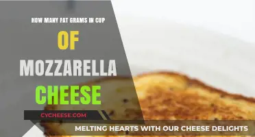 Fat Facts: Mozzarella Cheese Cup's Content