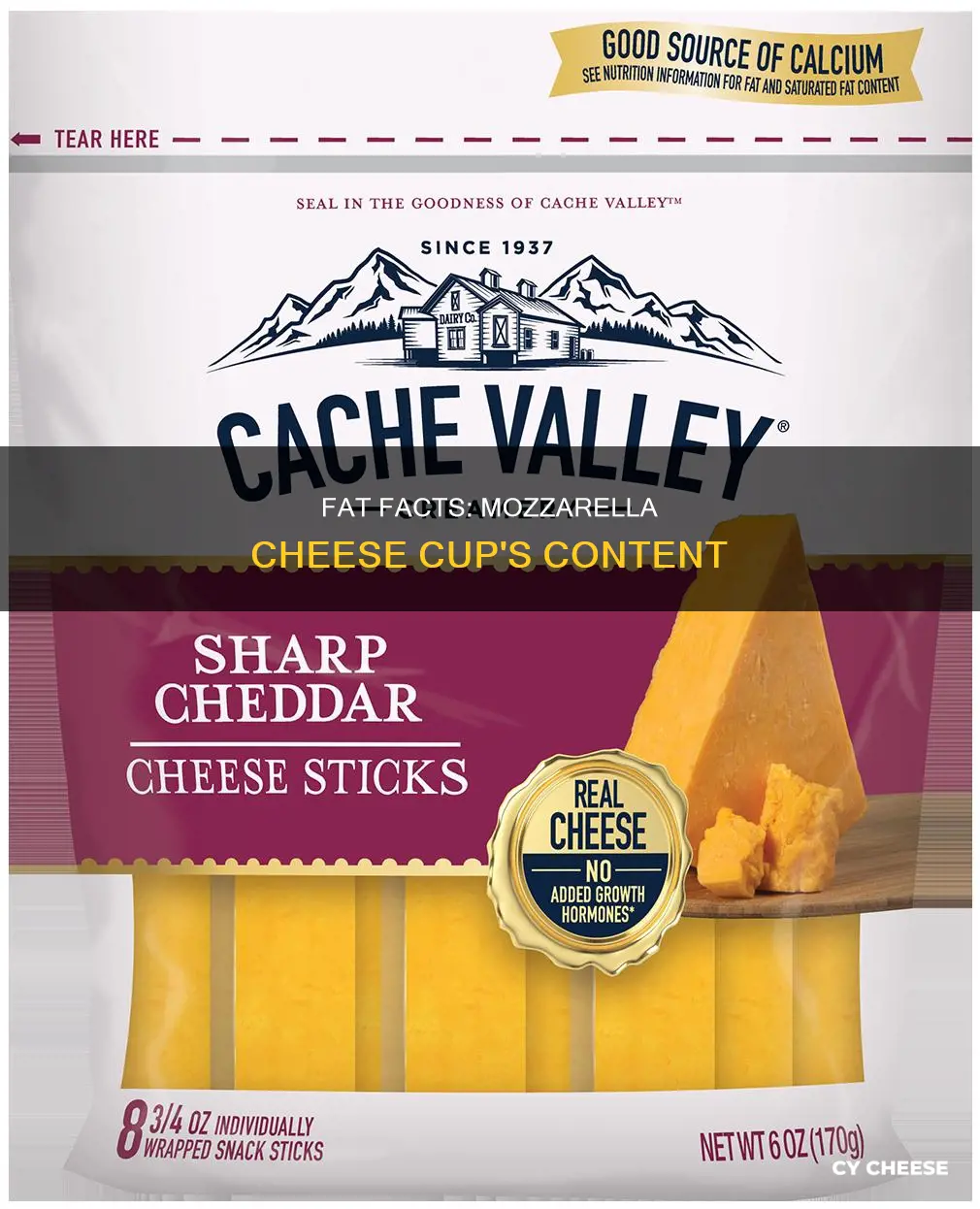 how many fat grams in cup of mozzarella cheese