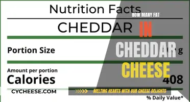 Cheddar Cheese: Unveiling the Fat Content Mystery