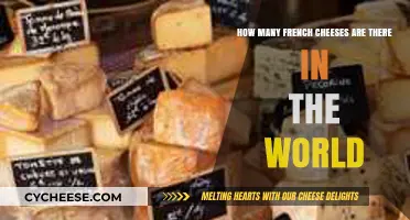 Exploring the Vast World of French Cheeses: A Comprehensive Count