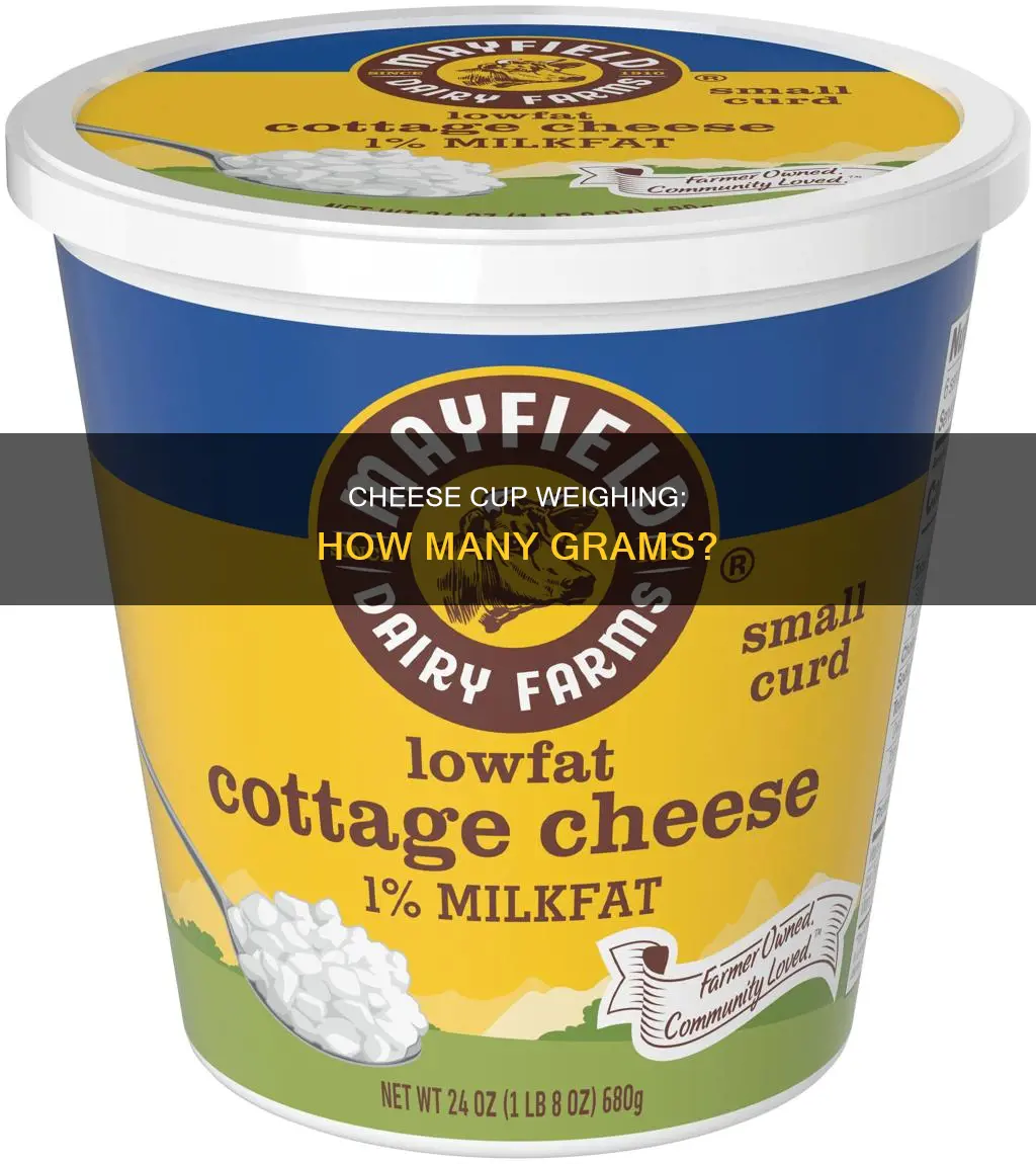 how many g in a cup of cheese