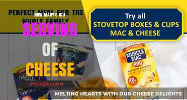 Cheese Serving: Understanding the Ideal Weight