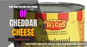 Cheddar Cheese: Gallons to Pounds Conversion Simplified