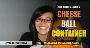 Cheese Ball Container Size: Gallon Capacity Explained Simply