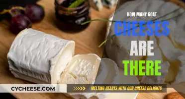 Goat Cheese Varieties: A Surprising Number to Discover and Taste