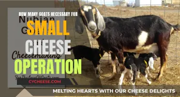 Goat Power: Optimizing Cheese Production with the Right Number of Goats