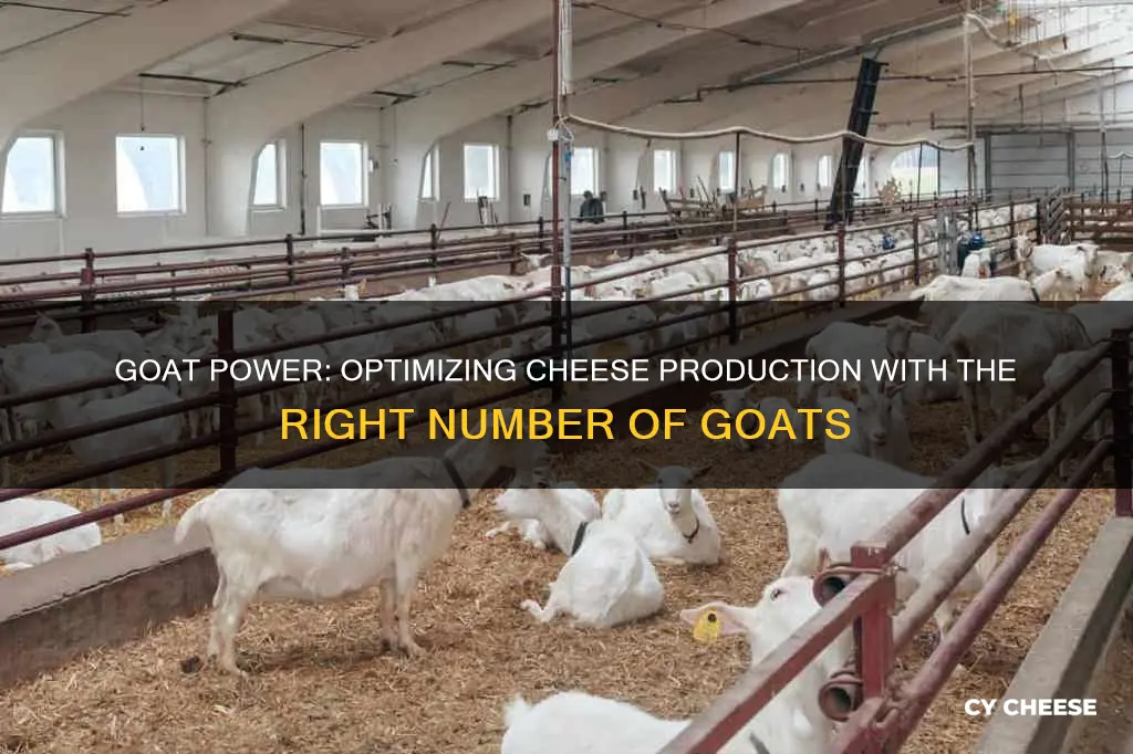 how many goats necessary for small cheese operation