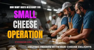 Goat Herd Size for Small-Batch Cheese Production