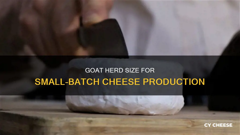 how many goats necessary for small cheese operation