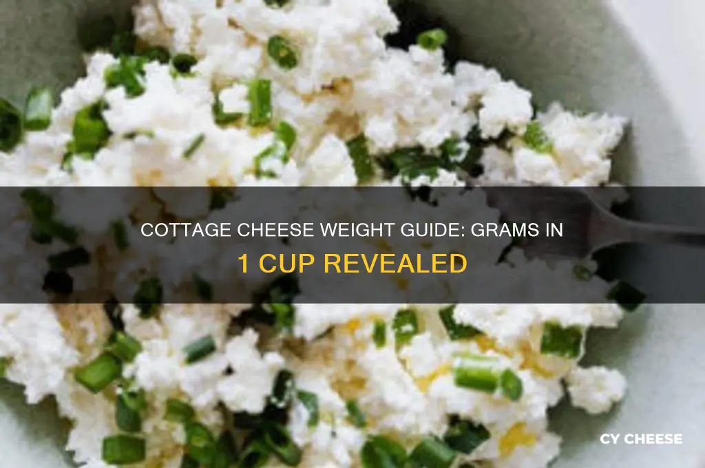 how many grams does 1 cup of cottage cheese weigh