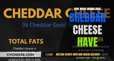 Cheddar Cheese: Unveiling the Gram Count