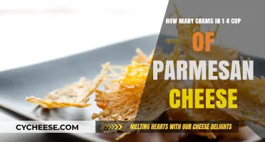 Grams in a Cup of Parmesan Cheese
