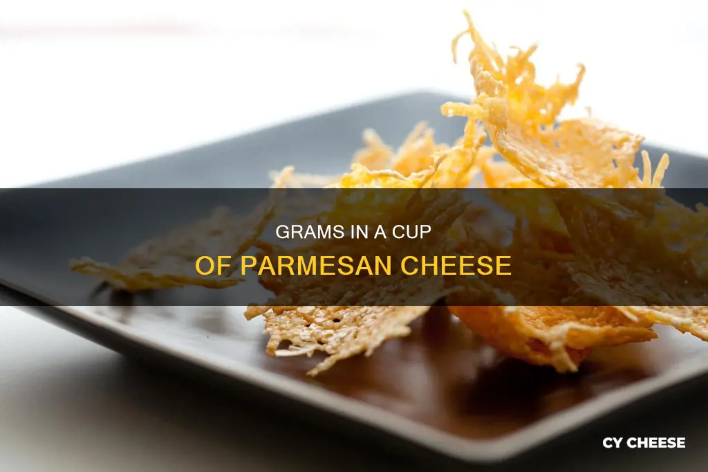 how many grams in 1 4 cup of parmesan cheese
