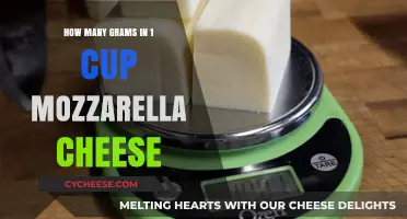 Grams in a Cup: Mozzarella Cheese Weigh-In