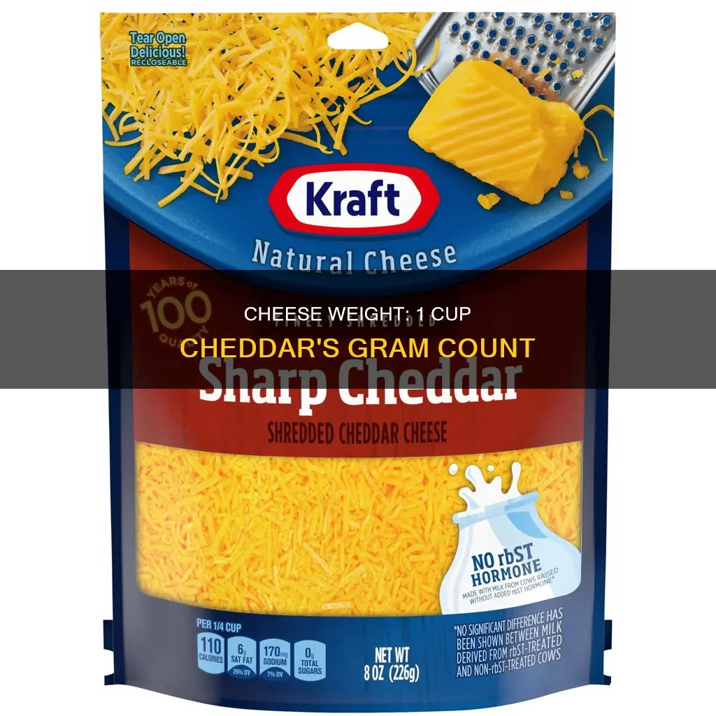 how many grams in 1 cup of shredded cheddar cheese