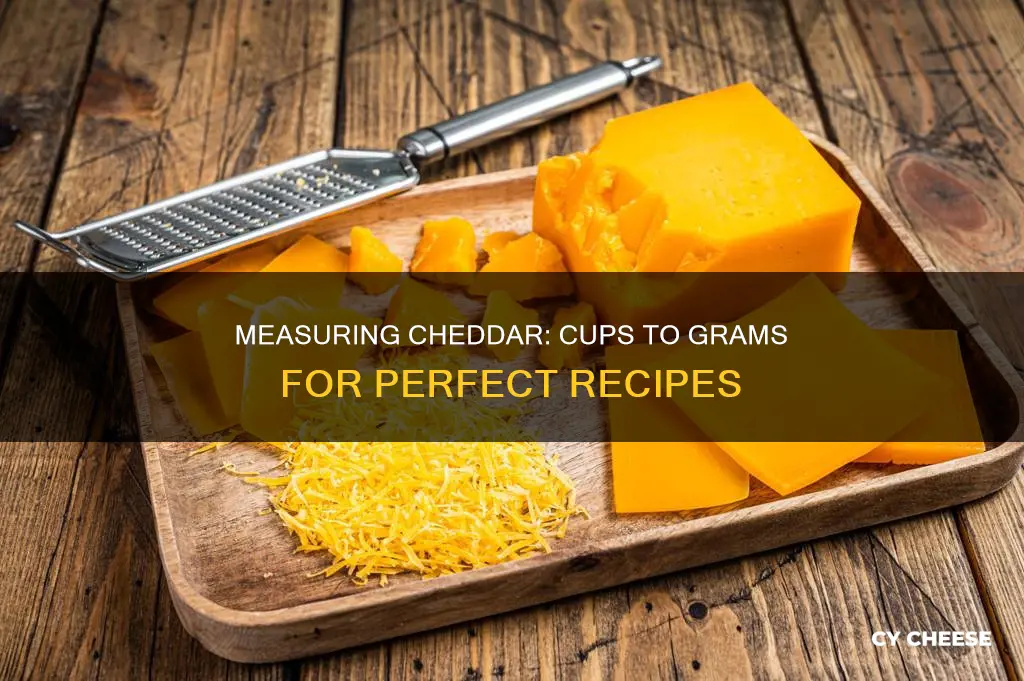 how many grams in 1 cup of shredded cheddar cheese