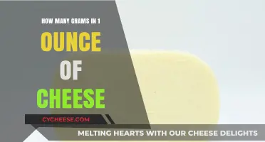 Understanding Cheese Measurements: Grams in One Ounce of Cheese