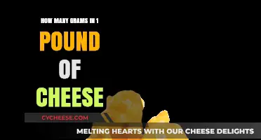 Converting Cheese Measurements: Grams in One Pound Explained