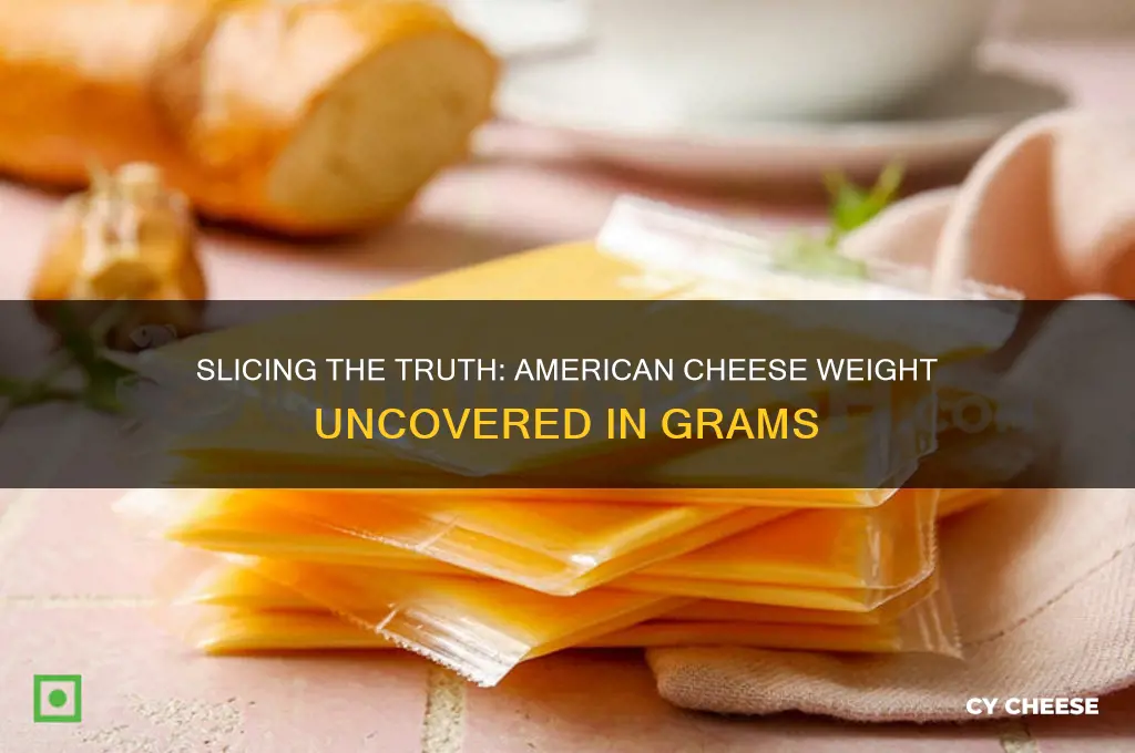 how many grams in a slice of american cheese