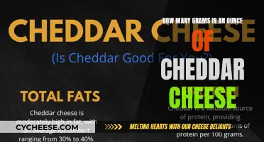 Cheddar Cheese: Unraveling the Ounce to Gram Mystery