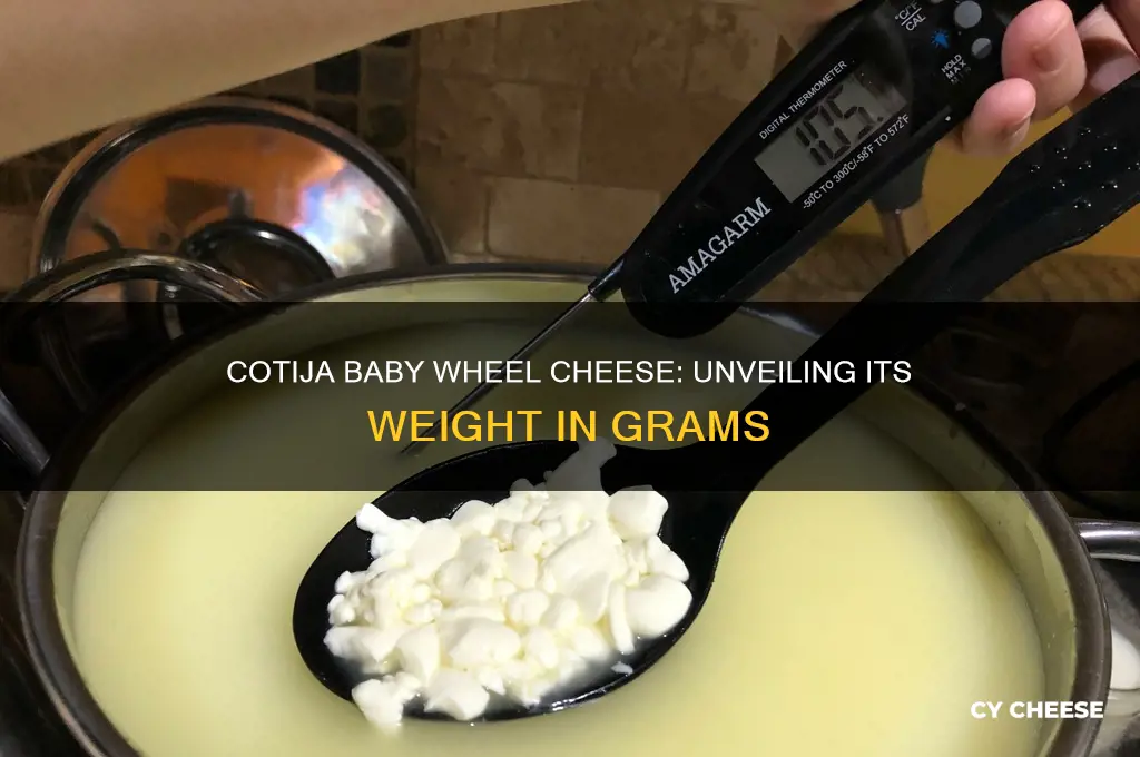 how many grams in cheese cotija baby wheel