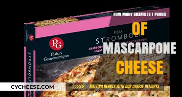 Converting Pounds to Grams: How Much is 1 Pound of Mascarpone Cheese?