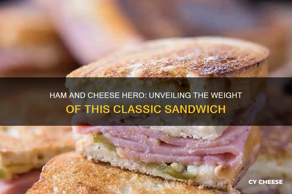 how many grams is a ham and cheese hero