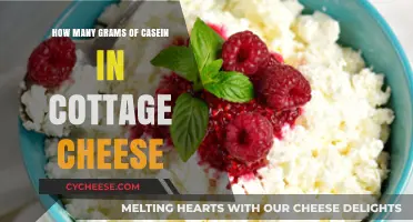Cottage Cheese Casein Content: Grams Per Serving Explained