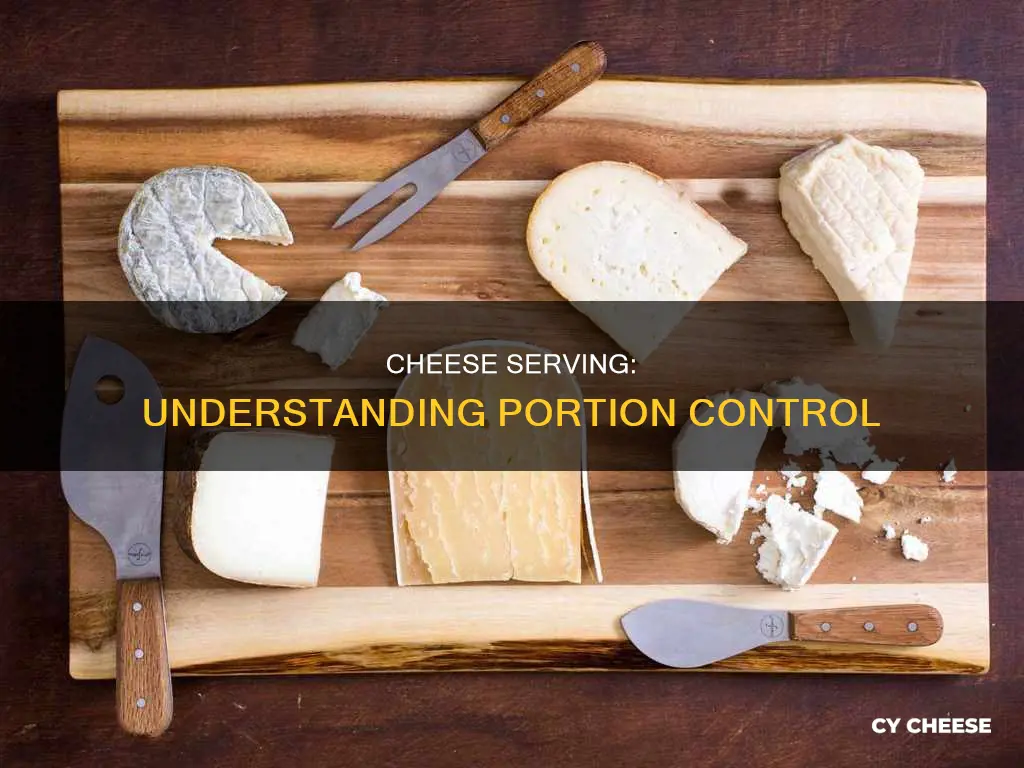 how many grams of cheese is considered one serve