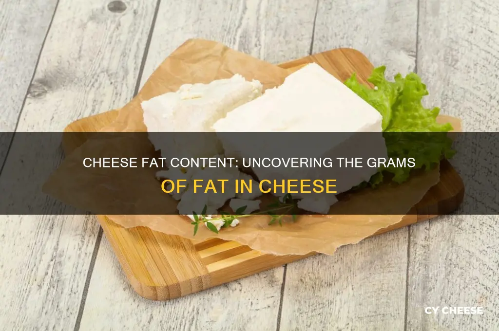 how many grams of fat are in cheese