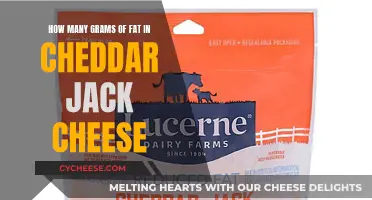 Cheddar Jack Cheese: Unveiling the Fat Content