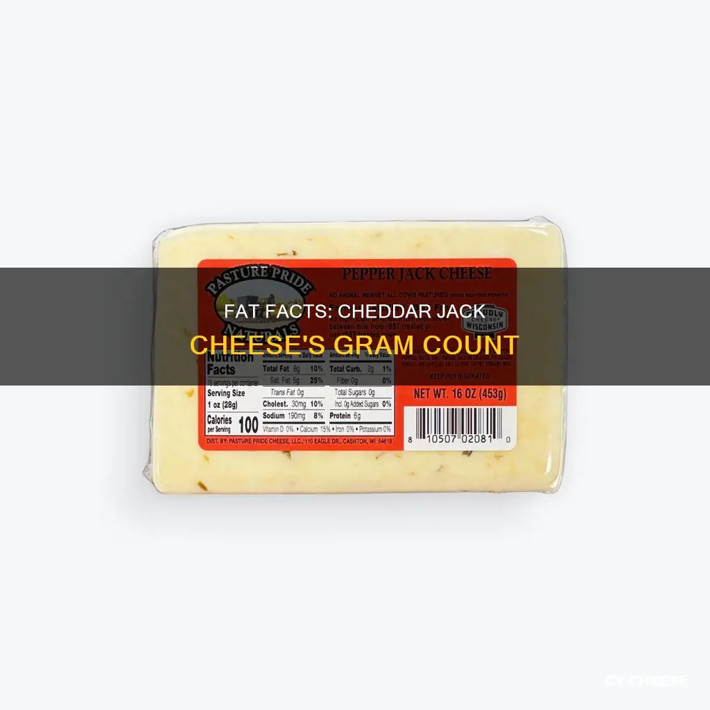 how many grams of fat in cheddar jack cheese