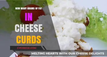 Cheese Curds Fat Content: Uncovering Grams in This Tasty Snack