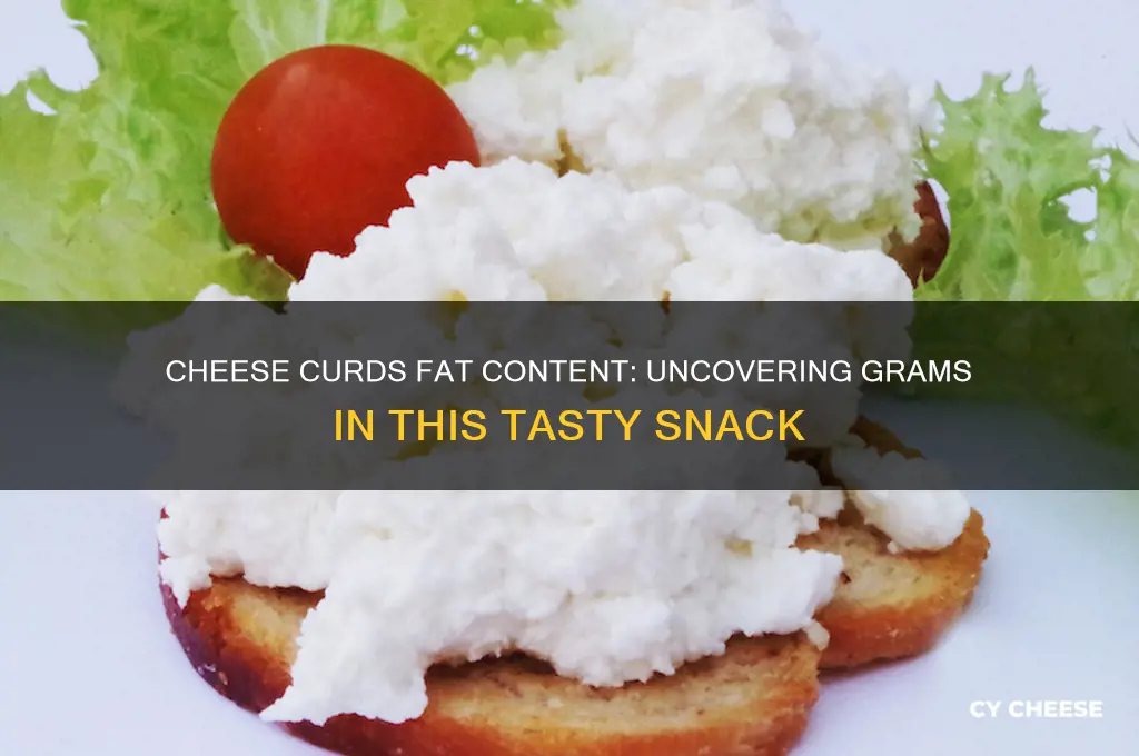 how many grams of fat in cheese curds