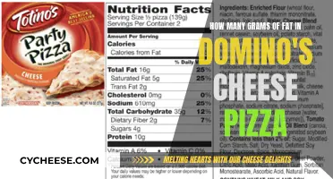 Unraveling the Fat Mystery: Domino's Cheese Pizza's Gram Count